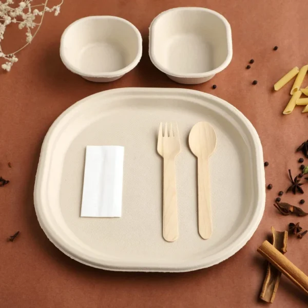 Disposable - Large Sugarcane Plate with Bio Cutlery and Napkin Pack