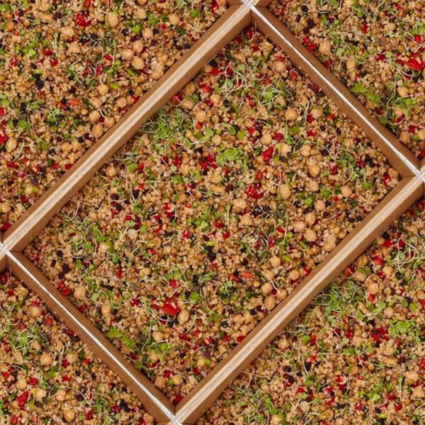 Salad Medium - Ancient grain salad